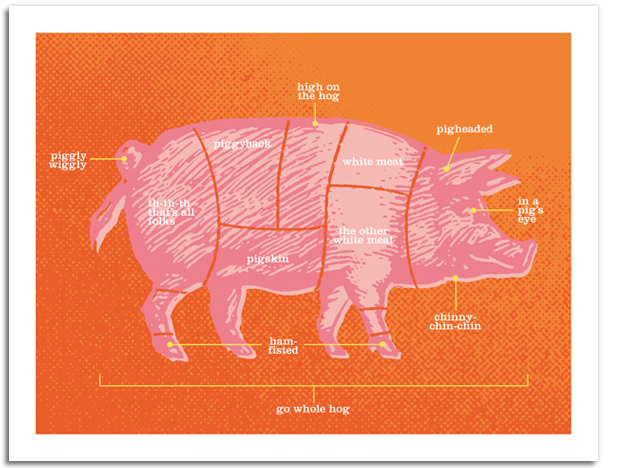 Designer Daddy - Pig Notecards - Cuts of Meat