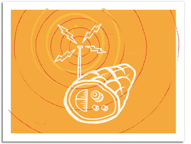 Designer Daddy - Pig Notecards - Ham Radio